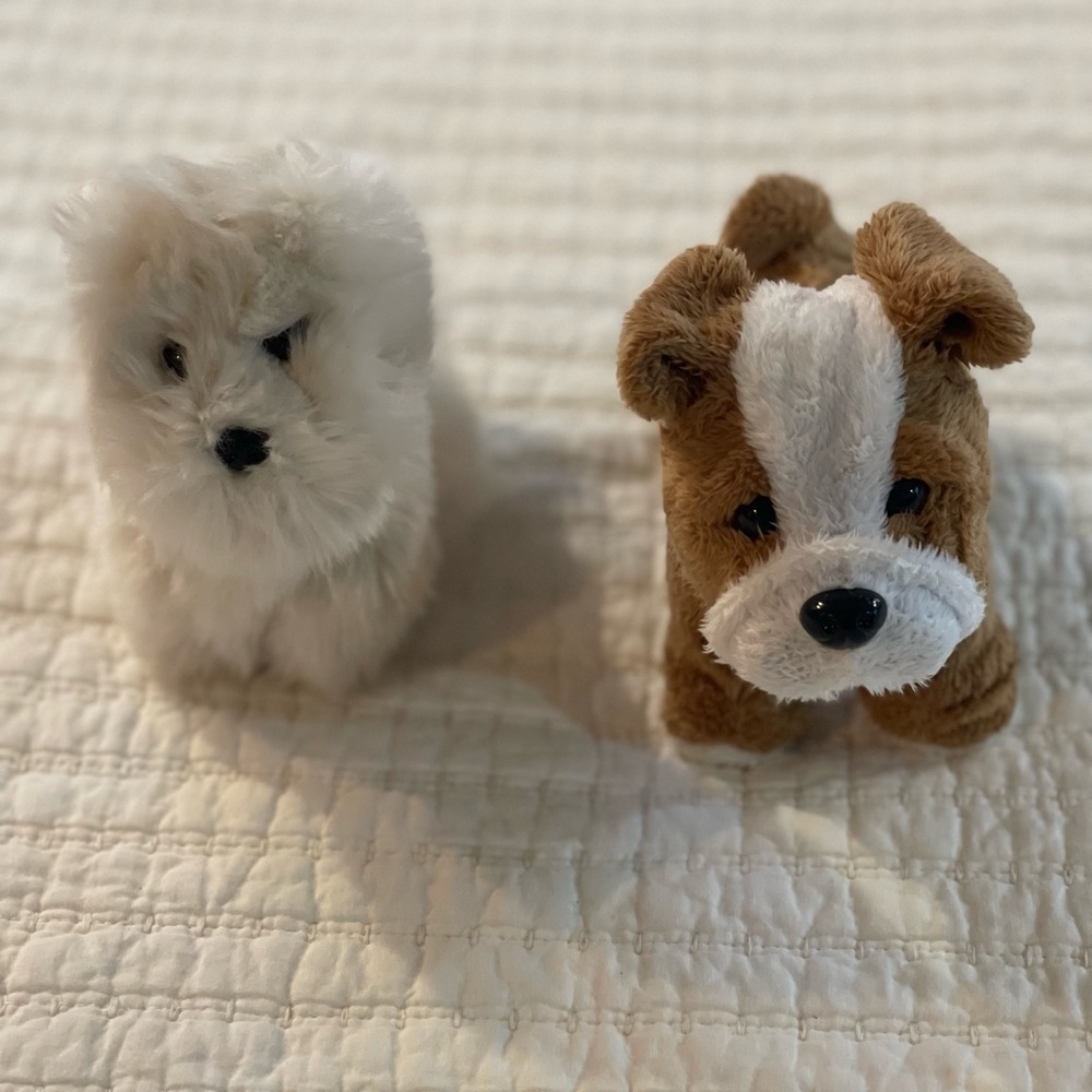 American Girl Pets